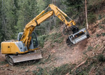 Az elhanyagolt területtől a hasznos birtokig: amikor a kézi munkaerő vége, és az erdészeti szárzúzó munkába lép